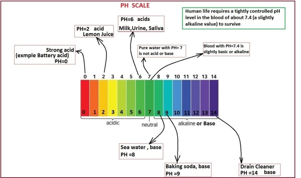 Water PH-Scale